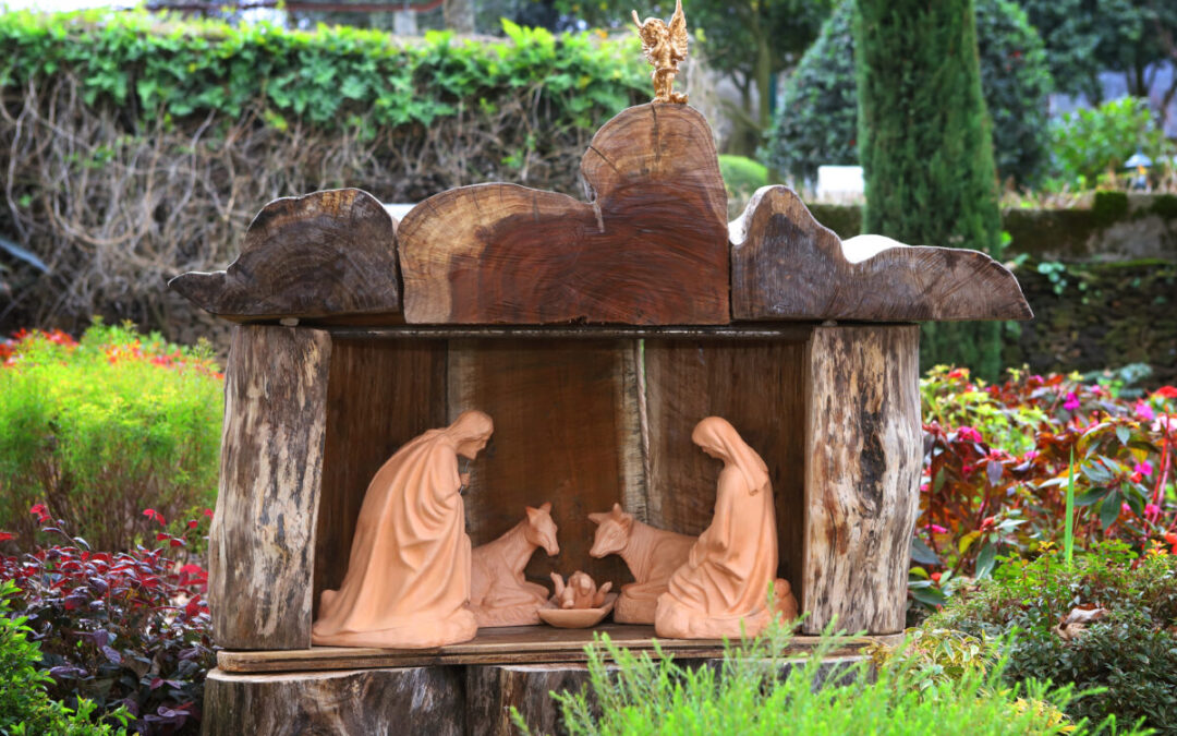 Advento com Alexandrina